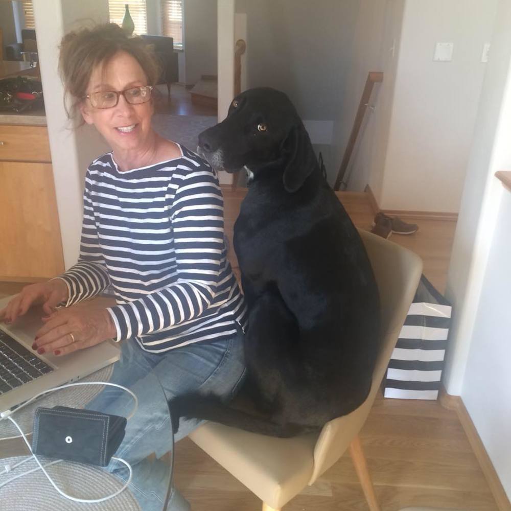 Meet your Posher, Janet